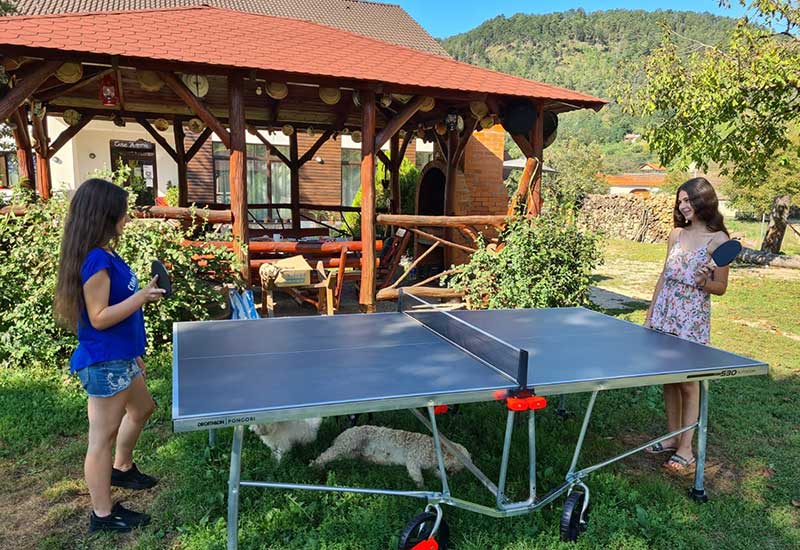 Masa Ping Pong - gratuit Servicii cazare in Transilvania pe Transalpina la Casa Artemis Pianu de Sus